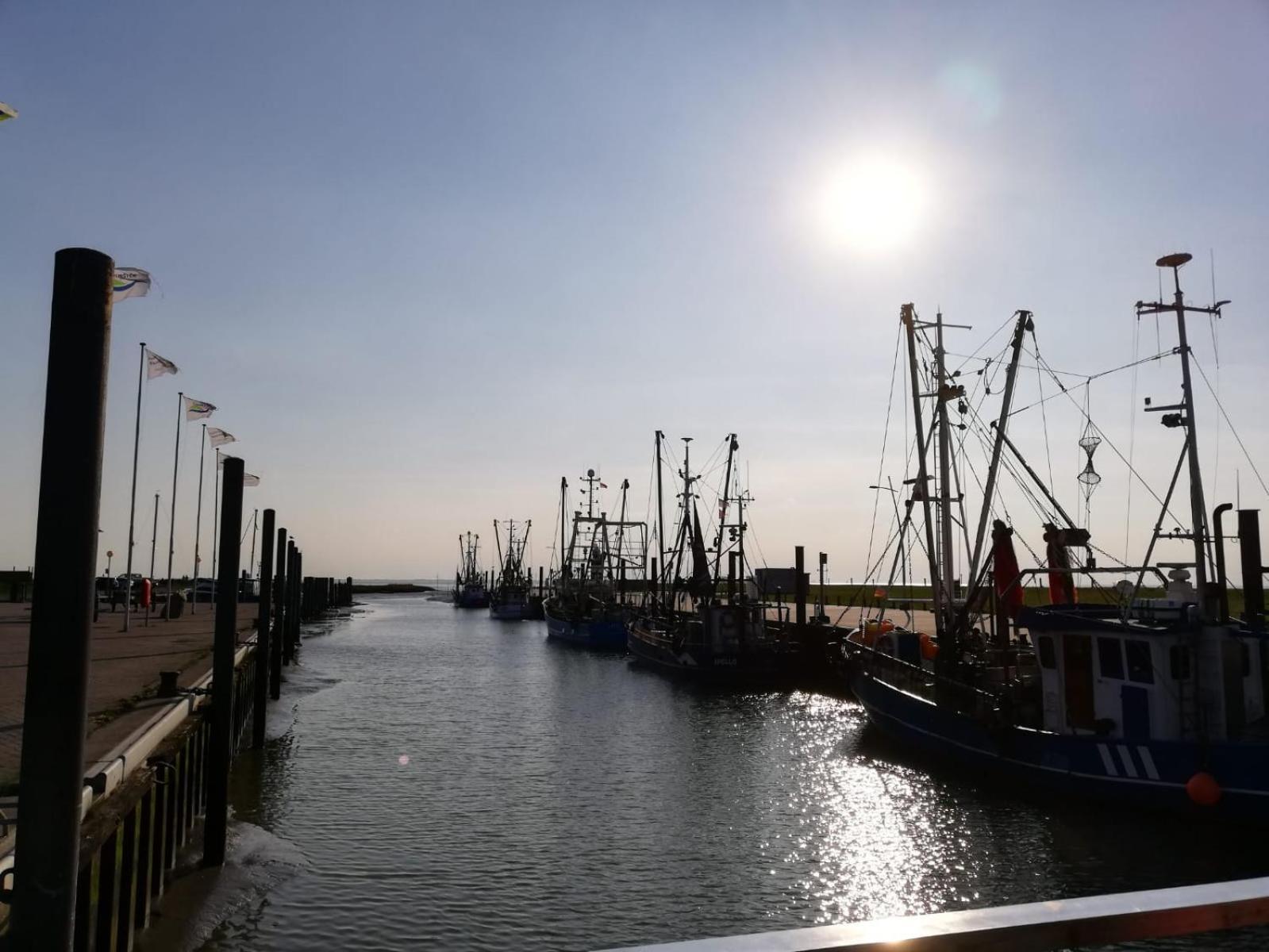 Ferienwohnung Alea, Zentrumsnah Bremerhaven Exterior foto